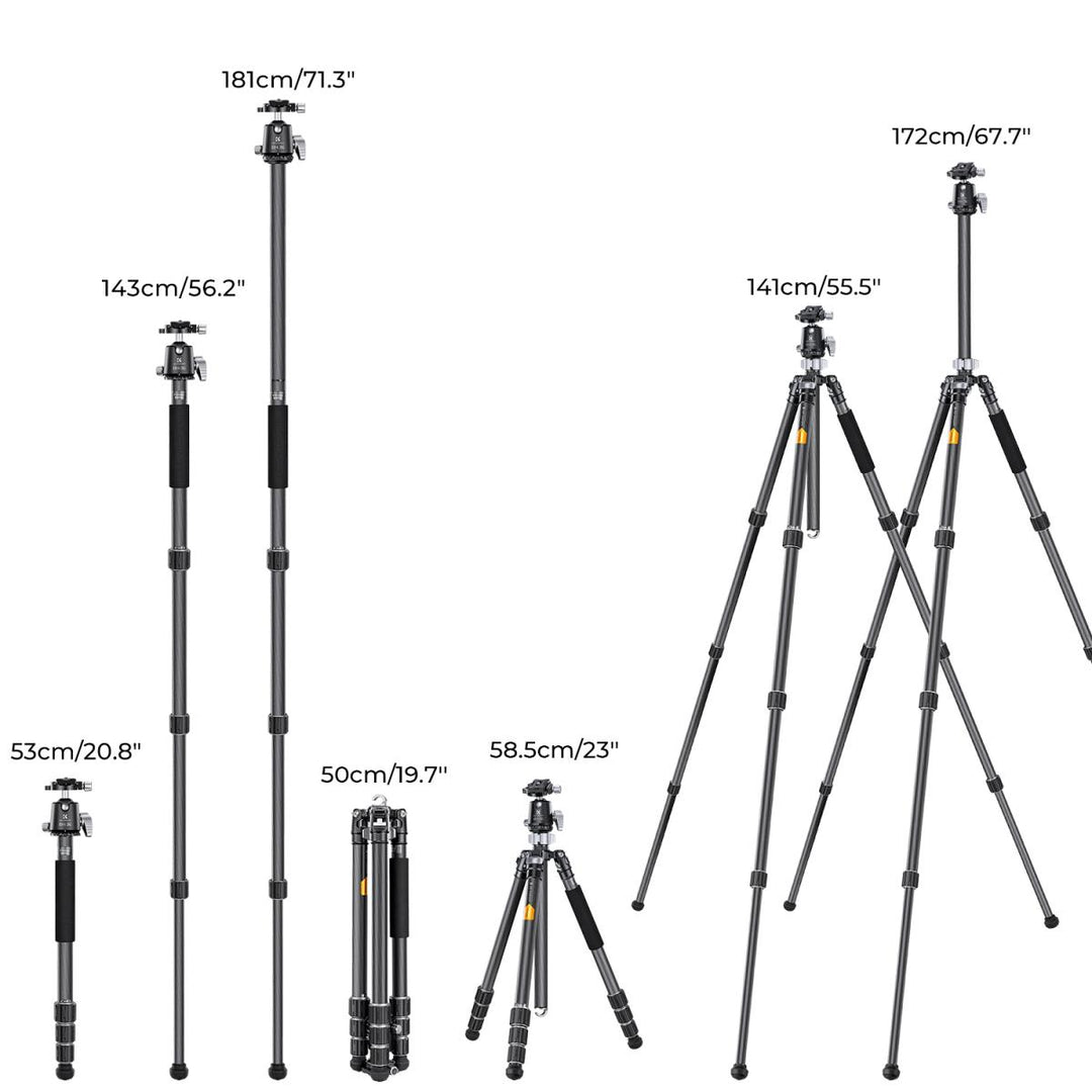 K&F Concept Carbon Fiber Tripod X254C4+BH-30