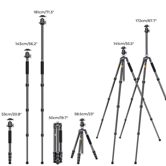 K&F Concept Carbon Fiber Tripod X254C4+BH-30
