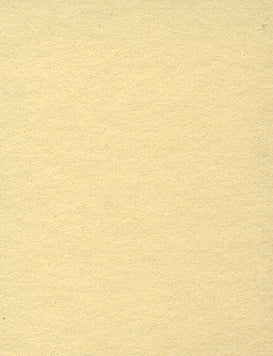 Champagne Light Yellow Seamless Background Paper (65) (2.72m x 10m) Similar to Savage #38 Canary (107" x 32.8')