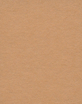 Dark Beige Pongee Seamless Background Paper (26) (2.72m x 10m) Similar to Savage #76 Mocha (107" x 32.8')
