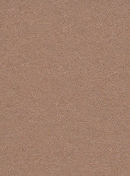 Hazelnut Brown Seamless Background Paper (25) (2.72m x 10m) Similar to Savage #76 Mocha (107" x 32.8')