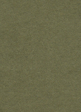 Leaf Dark Green Seamless Background Paper (10) (2.72m x 10m) Similar to Savage #34 Olive Green (107" x 32.8')