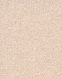Oyster orange Seamless Background Paper (33) (2.72m x 10m) Similar to Savage #19 Egg Nog (107" x 32.8')
