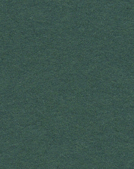 Spruce Green Seamless Background Paper (12) (2.72m x 10m) Similar to Savage #18 Evergreen (107" x 32.8')