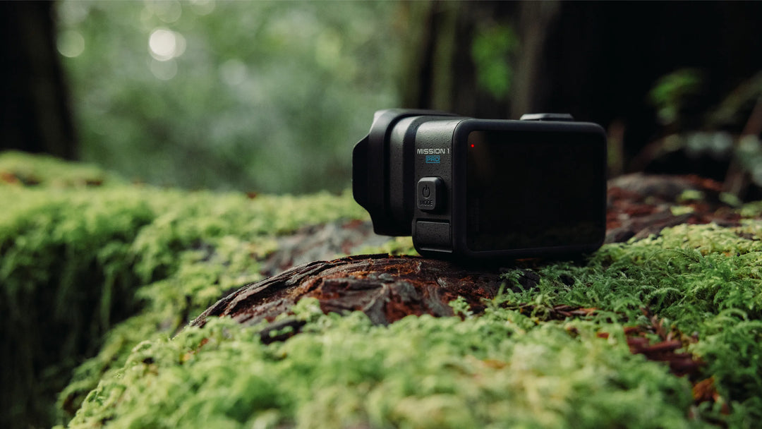 Action camera on a mossy tree stump in a forest setting