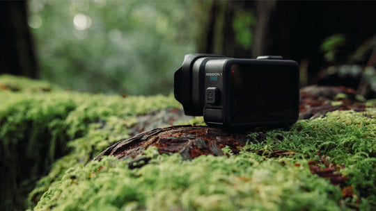 Action camera on a mossy tree stump in a forest setting