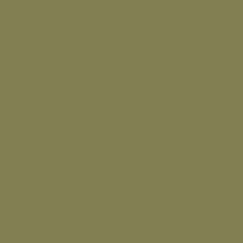 热带绿色无缝背景纸 (13) (2.72mx 10m) 类似于 Savage #34 橄榄绿 (107" x 32.8')