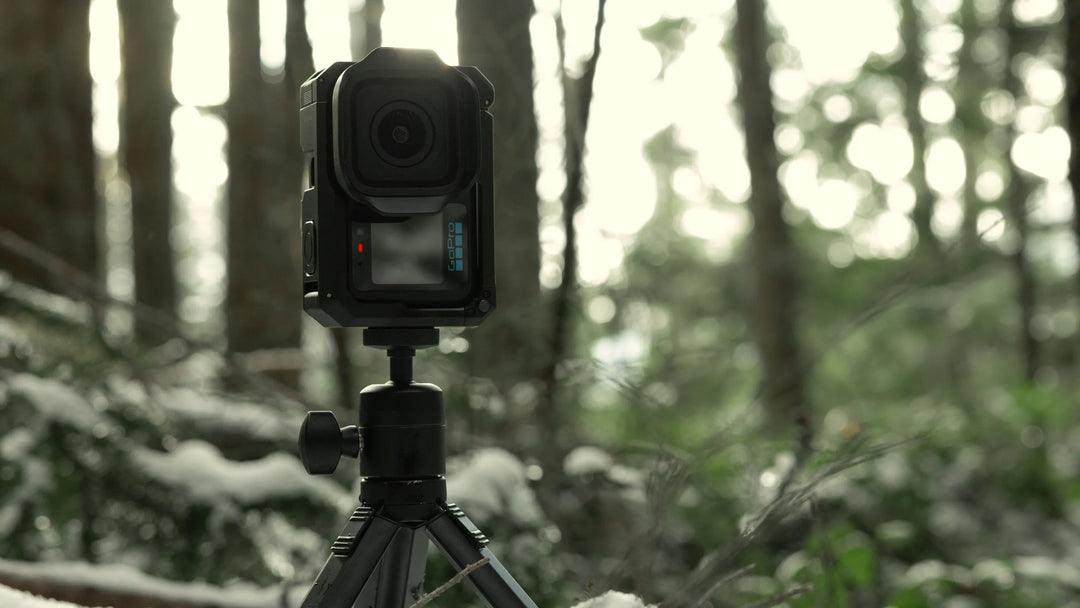 Camera on a tripod in a forest setting with snow on the ground