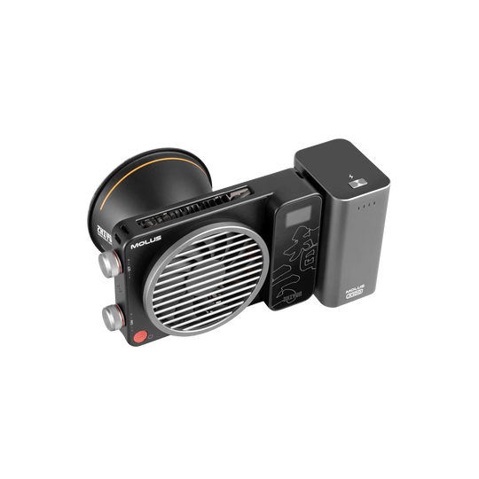 A black ZHIYUN MOLUS X100, shown from a three-quarters angle on a solid white background.