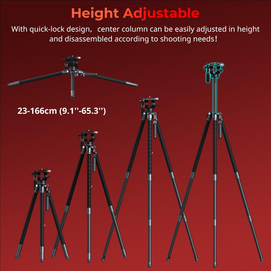 Graphic showing Height Adjustable of SmallRig x Potato Jet TRIBEX SE Hydraulic Tripod