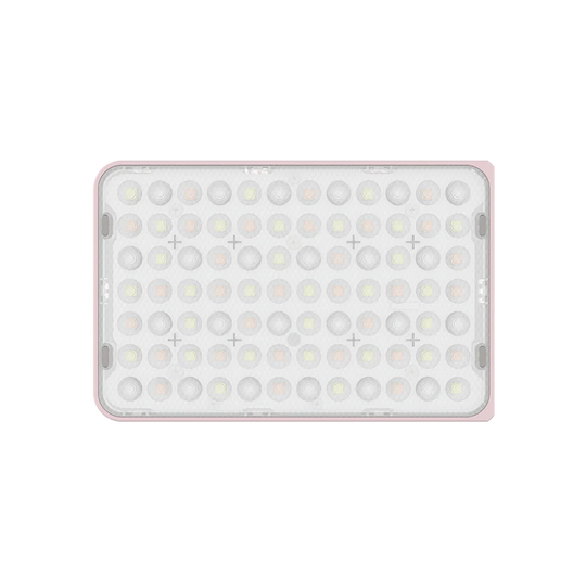 Amaran Ace 25x Bi-color Compact LED light