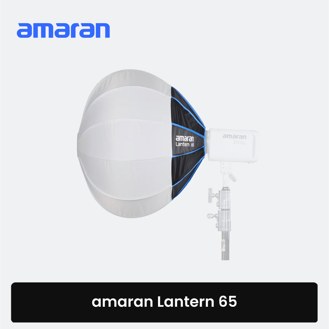amaran Lantern 65 with a white background
