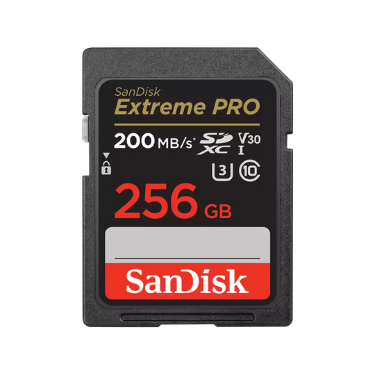 SanDisk Extreme Pro 256GB SD card on a white background