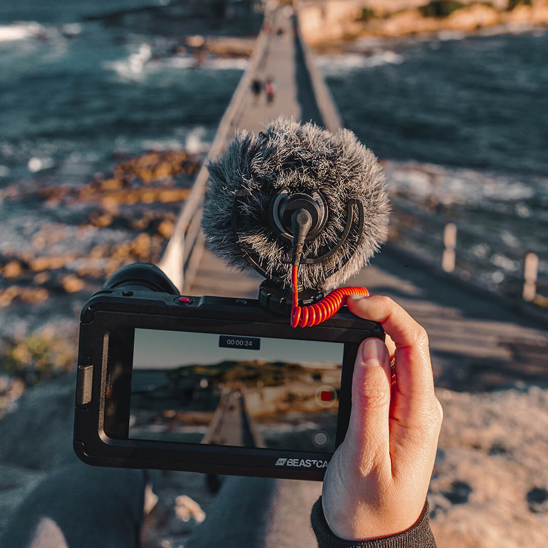 RODE VideoMicro 紧凑型小型麦克风（摄像机用视频微型 TRS 麦克风） 