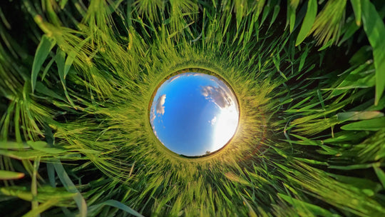 Metallic sphere embedded in grass with a reflective surface