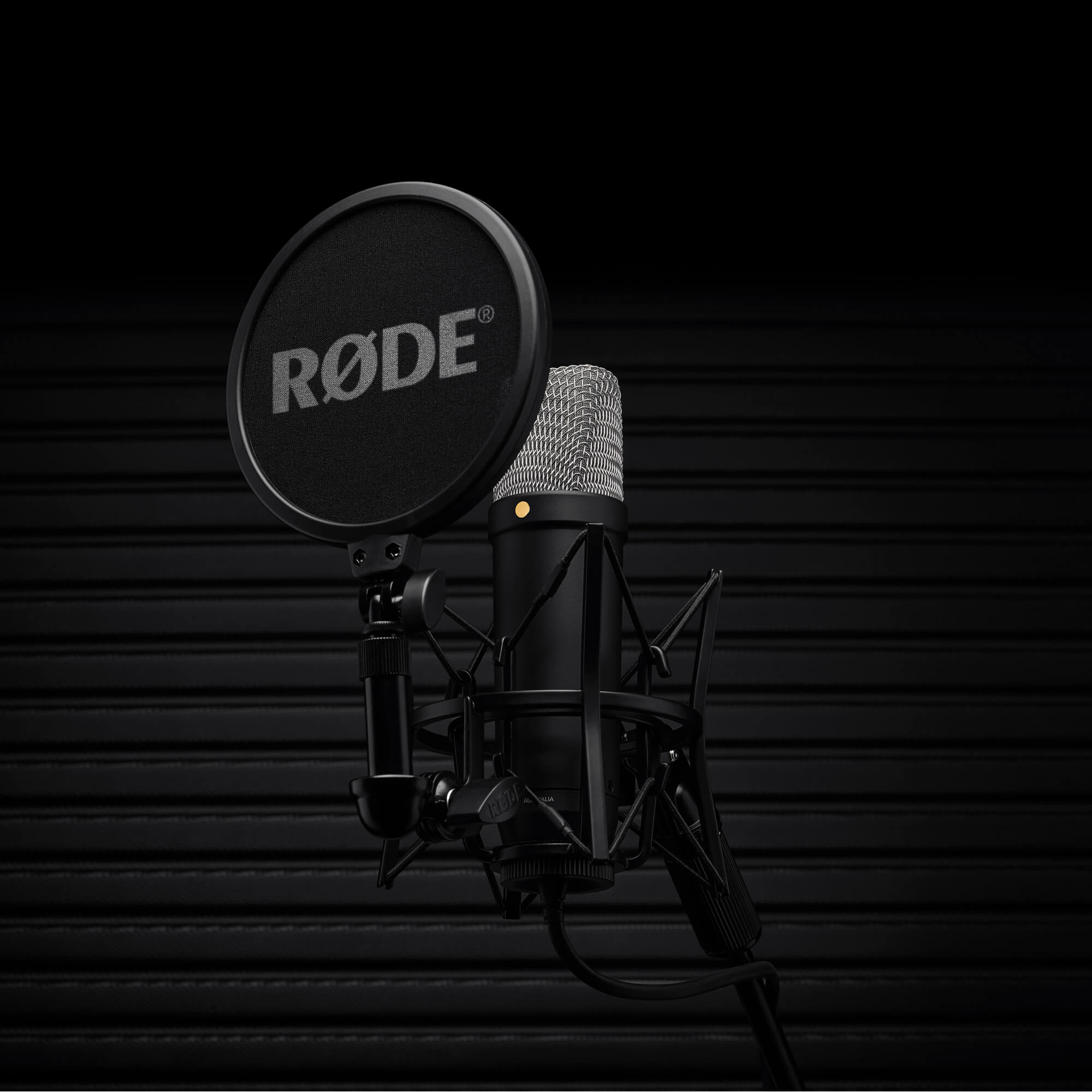 RODE NT1 5th Generation Cardioid Condenser XLR/USB Microphone 32