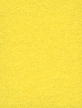 亮黄色无缝背景纸 (50) (2.72mx 10m) 类似于 Savage #38 Canary (107" x 32.8')