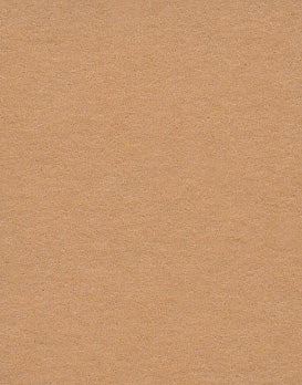 Dark Beige Pongee Seamless Background Paper (26) (2.72m x 10m) Similar to Savage #76 Mocha (107" x 32.8')