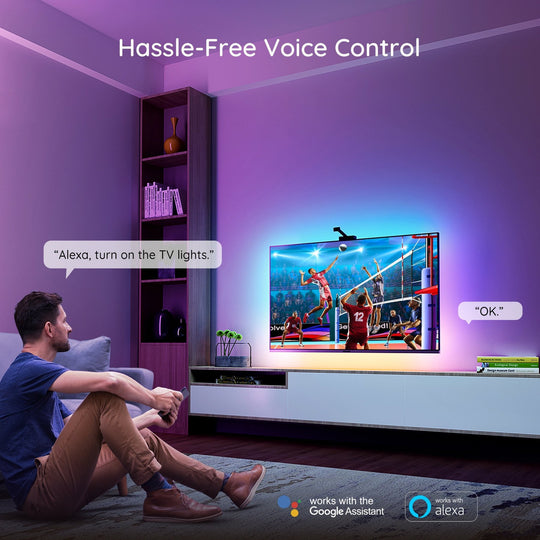 Govee Immersion Wi-Fi TV Backlights RGBIC Lighting with Camera Works with Alexa & Google Assistant H6199
