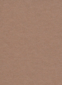 榛子棕色无缝背景纸 (25) (2.72mx 10m) 类似于 Savage #76 摩卡 (107" x 32.8')