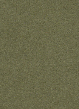 Leaf Dark Green Seamless Background Paper (10) (2.72m x 10m) Similar to Savage #34 Olive Green (107" x 32.8')