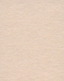 Oyster orange Seamless Background Paper (33) (2.72m x 10m) Similar to Savage #19 Egg Nog (107" x 32.8')