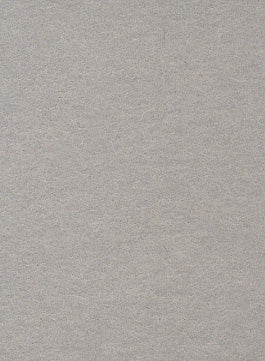 铂灰色无缝背景纸 (23) (2.72mx 10m) 类似于 Savage #57 灰色色调 (107" x 32.8')